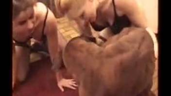 Sapphic sluts sharing canine cock in naughty oral sex sequences