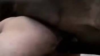 Furry-ass guy being pounded by a well-hung beast