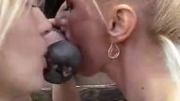Naughty blonde girls 18+ splitting a horse's massive cock in wild outdoor antics