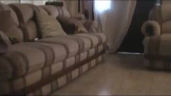 Excited woman secretly recorded attempting intercourse with a dog