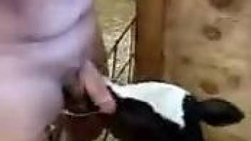 Dude throat-fucking a sexy cow in a kinky porn clip