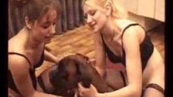 Mom and daughter zoophilia along the dog in brutal manners