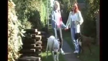 Hot sluts are getting filthy while sharing the canine's cock