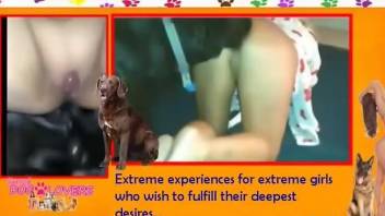 Hot ass chick stands nude and endures proper dog zoophilia
