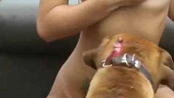 Massive ass appreciation romp with a aroused blonde Latina