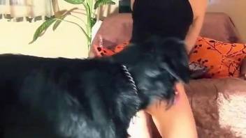 Mask-wearing bitch gets to lick a dog's dick after sex