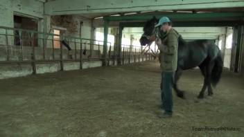 Blonde Russian woman is intensely penetrated by a horse