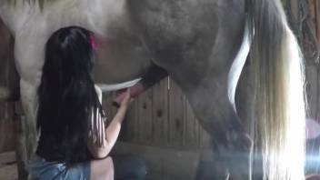 Aroused female lands a big horse dick in her creamy cunt
