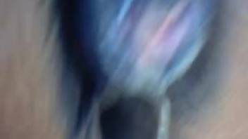 Hot butt naked adult video featuring a guy screwing his horse
