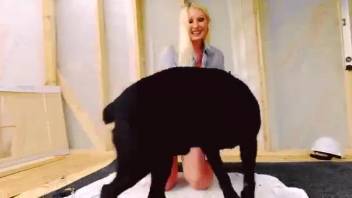 Blonde animal enthusiast screwed at the building site