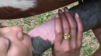 Clean sex scene featuring a long-legged brunette zoophile