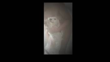Fast zoophilia handjob involving a super aroused pup