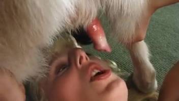 Superb naked adult films with intense bestiality sequences