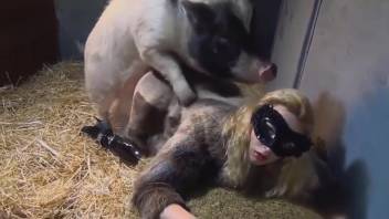 Bare ladies in hot homemade webcam footage of savage bestiality