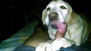 First-person perspective oral sex sequence with an incredibly alluring creature