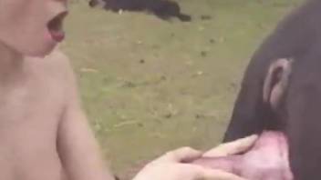 Naked females share a huge dog dick in sexy outdoor play