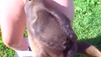 Chubby guy demonstrates his face-fucking abilities in a cumshot video