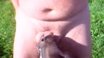 Naked man allows this young calf to lick his penis.