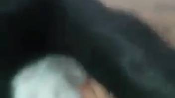 Fluffy canine captured on video engaging in bestiality erotica in stunning homemade adult clip