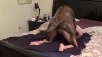 Doggy sex with a dog for this home alone wife