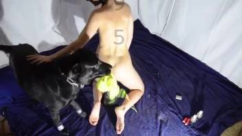 Naked siren acts obedient in perverse bestiality erotic scenario