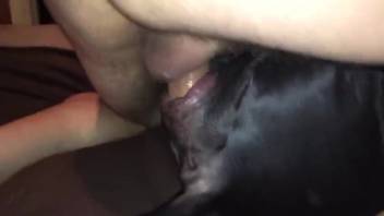 Guy's stiff dick ravages a bitch's wet cunt