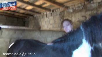 Fair-skinned chick eagerly blowing a horse's dick like a maniac