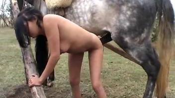 Skinny Latina getting fucked violently by a horse