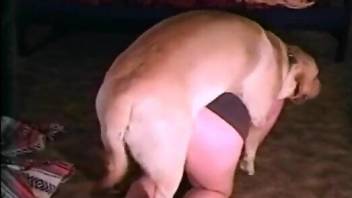 Dog porno movie with a perky-ass zoophile gal