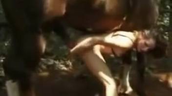 Long-legged woman in a provocative collar screwing a well-endowed stallion