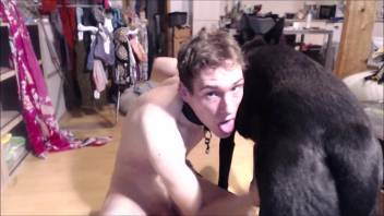 Homosexual young man wearing a provocative collar performs deep oral on a canine penis