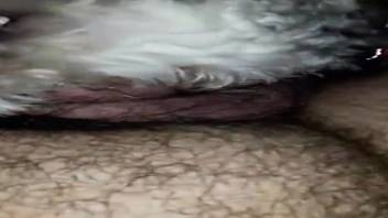 Hairy-shaft guy overpowers a snug anal opening in high definition