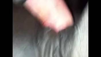 Busty mature mom having her cunt screwed by a youthful dick