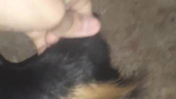 Hot intimate animal sex scene to make you cum
