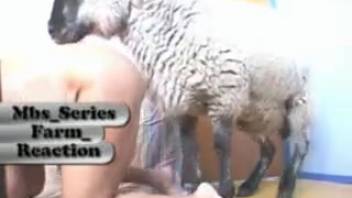 Woman's barnyard bestiality encounter with a sheep