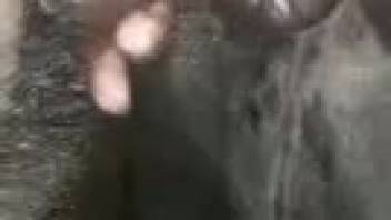 Stunning close-up bestiality session featuring a massive dick