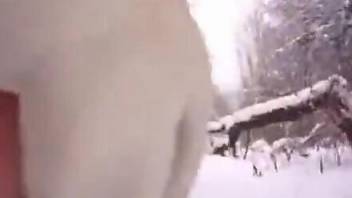 Gorgeous blonde in sunglasses fucks a dog in the snow