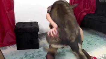 Steamy vixen in a provocative mask being mounted by a canine