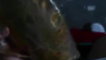Dead fish getting power fucked in a hot video