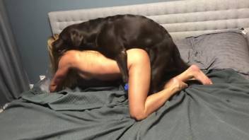 Curvy Caucasian blond being screwed by a dark canine