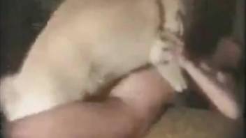 Firm booty babe getting fucked by a rabid dog