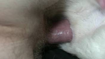 Guy attempts to squeeze his enormous dick into that tight opening