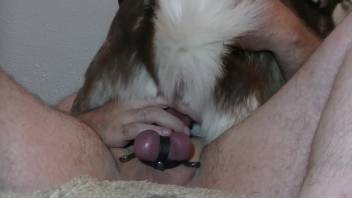Guy skewers a hot bitch on his thick dick and makes her climax