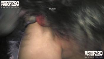 Rear-entry sex film showcasing intense passionate intimacy