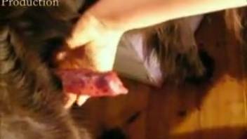 Adorable novice animal sex butt erotica on the top beastiality video site