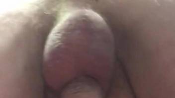 Dude with a hairy ass has to enjoy deep zoophile gape