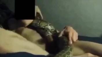 Snake wraps itself around this dude's cock as he fucks it