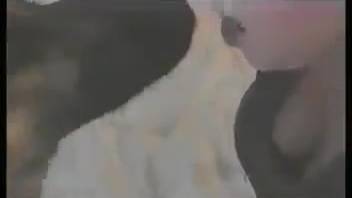 Collection of classic bestiality videos starring the sexiest ladies