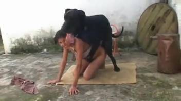 Hispanic chick with a steamy cunt gets ass-fucked by a canine