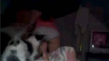 Naughty college girl 18+ surrendering her canine penis virginity right here